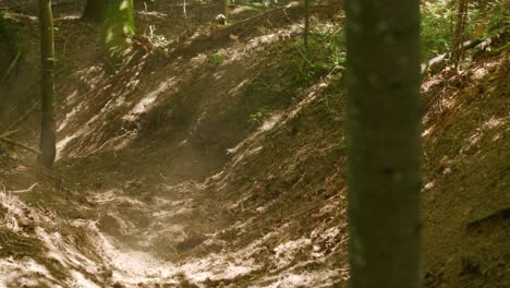 Mountain-biker-carves-turns-and-kicks-up-dust-under-light-rays-in-a-gully