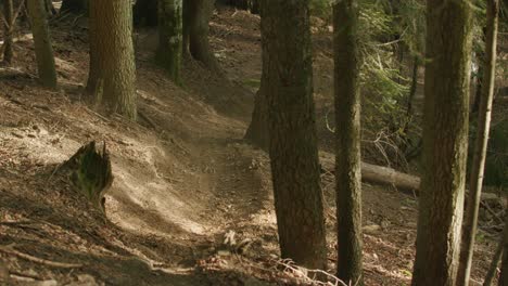 Mountainbiker-Fährt-Schnell-Einen-Steilen-Hügel-Hinunter-Und-Springt-Aus-Einer-Kurve