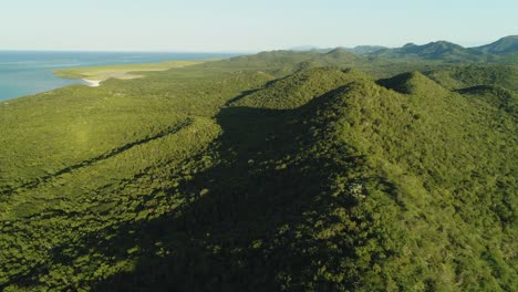Drone-flight-over-lush-vegetation-near-Popa-beach