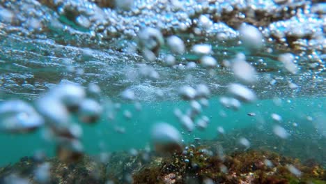 Tauchen-Sie-Ein-Mit-Blick-Auf-Die-Riffe,-Wunderschöne-Meeresfauna,-Türkisblaues-Wasser