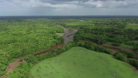 Aerial-panoramic-view-over-river-in-wetlands