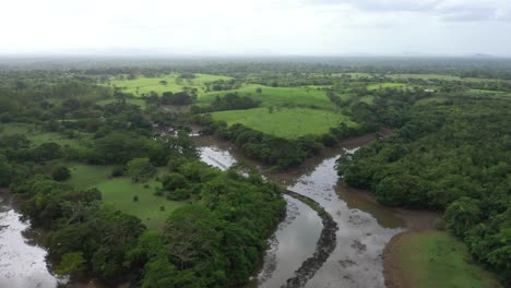 Aerial-shot-in-green-areas-over-the-Ozama-river-with-brown-waters-due-to-the-rains