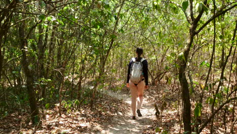 Backpacking-Hispanic-woman-exploring-forest-in-swimwear,-follow-shot