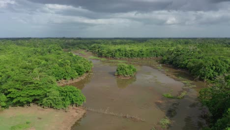 Aerial-forward-view-over-swamp-in-wetlands,-Dominican-Republic