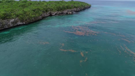 Algas-Rojas-En-La-Superficie-Del-Mar-Cerca-De-La-Costa-De-La-Isla-Catalina