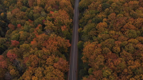 Establishing-shot-of-a-forest-road-surrounded-by-colorful-trees-with-cars-driving-by-in-fall-season,-drone-flying-backwards