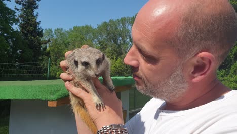 Adult-caucasian-man-kisses-meerkat-on-muzzle-while-holding-it-in-hands