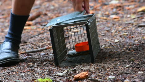 Close-Up-of-Squirrel-Released-From-Trap