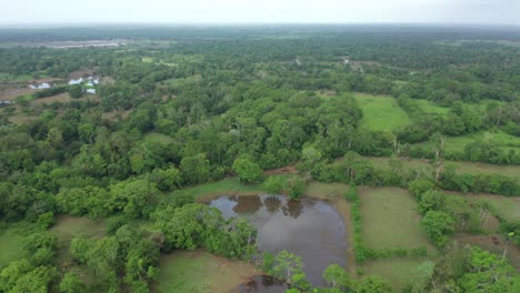 View-of-swamp-in-wetlands,-Dominican-Republic
