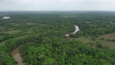 Aerial-shot-with-drone-of-wetland-in-Dominican-Republic