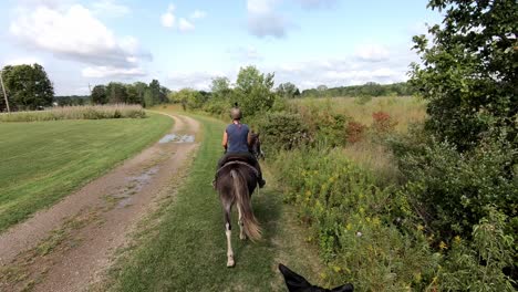 Off-Road-Horseback-Riding-During-Sunny-Day-In-Crosswinds-Marsh-At-Wayne-County-Park,-Michigan