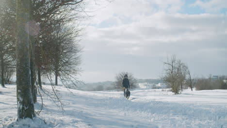 Wide-shot-of-a-woman-walking-with-her-dog-on-a-sunny-winter-day