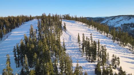 Drone-birdseye-view-over-two-downhill-ski-slopes-and-surrounding-pine-forests-in-Lake-Tahoe,-USA-on-a-bright-and-sunny-day