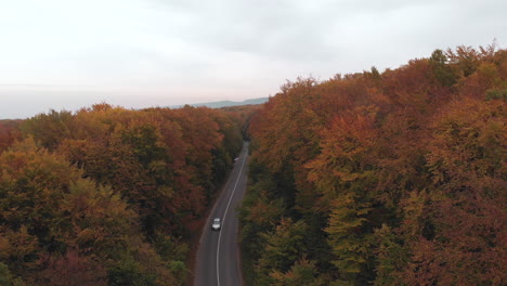 Aerial-following-up-shot-of-a-car-driving-on-a-forest-road-colorful-autumn-forest-environment