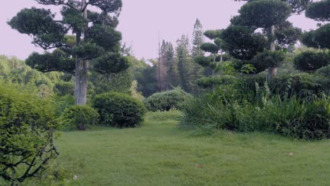 Japanese-garden--in-Santo-Domingo,-Dominican-Republic