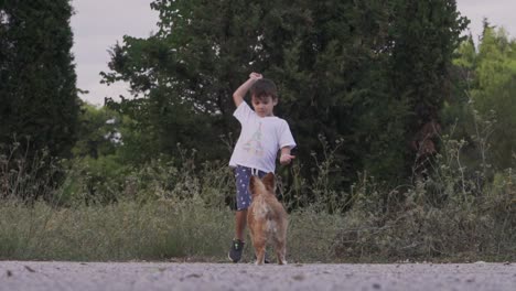 Caucasian-toddler-boy-throws-a-plastic-toy-stick-,-playing-with-his-pet-dog,-tall-trees-in-the-background,-slow-motion