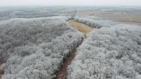 Aerial-pan-up-reveal-over-lonely-road-with-ice-covered-trees-in-countryside