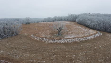 Luftparallaxe-Um-Einen-Einzelnen-Baum,-Der-über-Ländlichem-Ackerland-Mit-Eis-Bedeckt-Ist