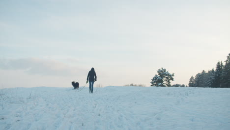 Breite-Aufnahme-Einer-Frau,-Die-An-Einem-Schönen-Winterabend-Mit-Ihrem-Hund-Spazieren-Geht