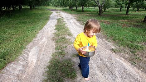 Little-Boy-Walking-And-Carrying-Freshly-Picked-Rainier-Cherries-Outdoors-In-Traverse-City,-Michigan---slow-motion