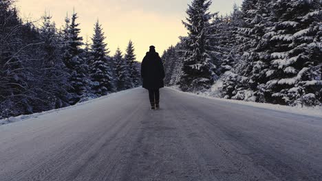 Girl-walking-on-an-empty-road-through-the-white-forest-of-Romania-in-winter