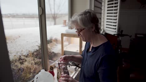 Mature-woman-adds-fertilizer-to-the-water-for-her-indoor-hydroponics-garden-on-a-snow-day