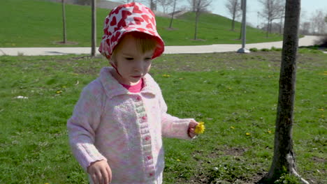 Cute-toddler-girl-picking-dandelions-in-a-park