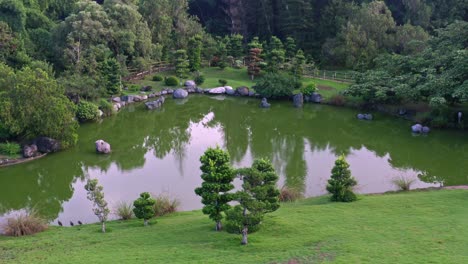 Aerial-view-of-small-pond-and-trees-reflected-on-water-at-botanical-garden
