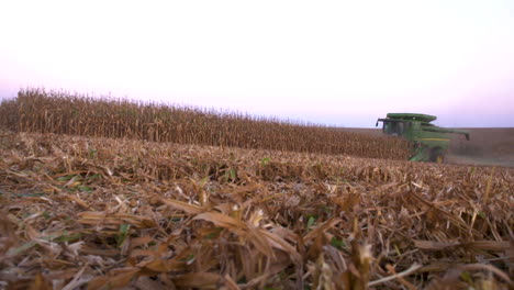 Wide-shot-of-harvesting-corn-in-the-Midwest-USA