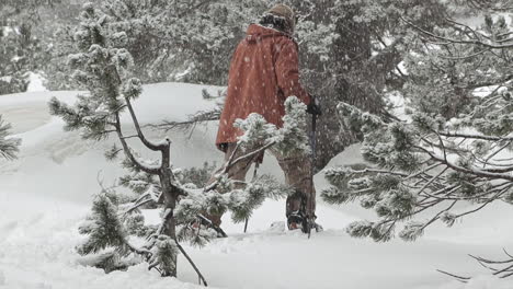 Slow-motion-of-a-snowboard-climbing-behind-some-trees-in-a-forest-with-his-splitboard-while-it-snows