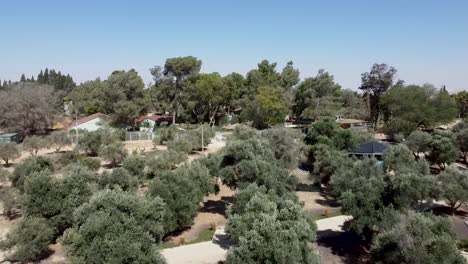 Aerial-forward-drone-shot-of-the-Ben-Gurion-Shed---a-museum-in-The-kibbutz-Sde-Boker,-filled-with-trees,-bushes,trails,-and-houses