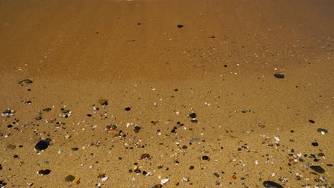 Gentle-waves-wash-on-a-golden-beach-with-small-smooth-scattered-stones