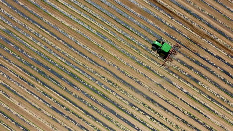 Cinematic-downward-angle-drone-shot-of-tractor-in-a-farm-field-with-rows-of-crops
