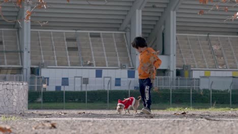 Caucasian-boy,-walks-a-pincher-pet-dog-on-christmas-day,-at-park-of-Athens-Olympic-center-complex,-low-view-,-medium-shot