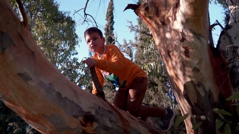 Kaukasischer-Junge,-Der-Auf-Einem-Großen-Zweig-Des-Eukalyptusbaums-Balanciert