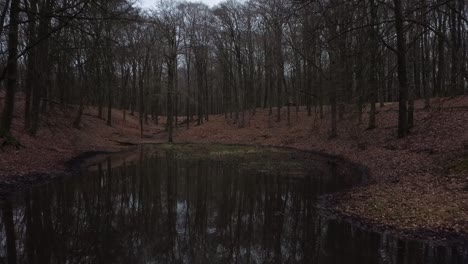 Mysterious-forest-pond-in-a-dark-forest-with-foliage-around-it,-trees-are-reflected-in-the-water