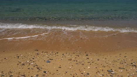 Sanfte-Wellen-Waschen-Sich-An-Einem-Goldenen-Strand-Mit-Kleinen,-Glatten,-Verstreuten-Steinen