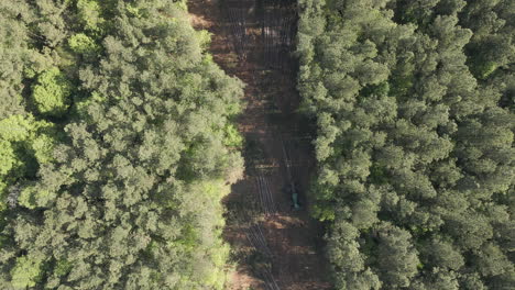 Drone-of-tree-lumbering-or-deforestation,-path-cut-through-the-forest