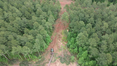 Drone-shot-of-trees-being-cut-down-by-lumberjacks