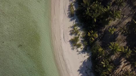 Luftdrohnenaufnahme-Eines-Tropischen-Strandes-Und-Einer-Lagune-Mit-Langen-Schatten-Von-Kokospalmen