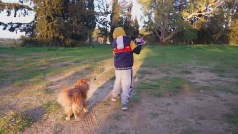 Back-view-of-caucasian-boy-taking-a-walk-with-hid-pet-dog-at-the-fields,-using-a-leash,-4K-30fps,-follow-medium-shot