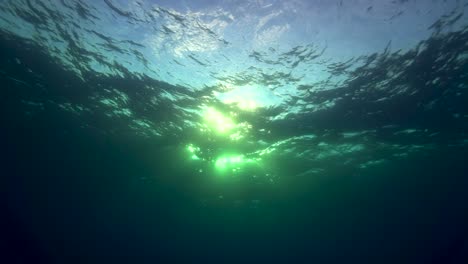 Rollende-Wellen-Und-Wasseroberfläche,-Die-In-Zeitlupe-Von-Unterwasser-Gegen-Das-Licht-In-Einer-Tropischen-Ozeanumgebung-Aufgenommen-Wurden