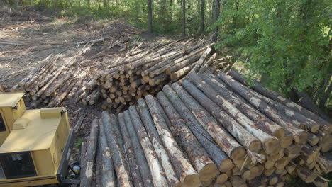 Aerial-shot-of-trees-stacked-up-by-lumberjacks