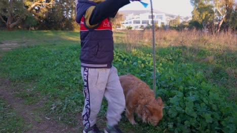Süßer-Kaukasischer-Junge,-Nimmt-Seinen-Hund-Für-Einen-Spaziergang-An-Der-Leine-Auf-Den-Feldern