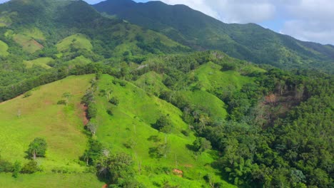 Wald,-Regenwald-Und-Dschungel,-Der-Eine-Gigantische-Bergkette-In-Der-Dominikanischen-Republik-Bedeckt