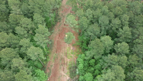 Aerial-shot-of-trees-being-cut-down-by-lumberjacks,-clearing-an-area-for-a-new-neighborhood