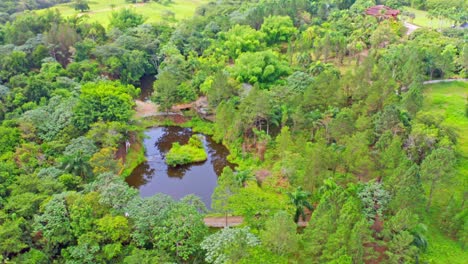 Dense-Forest-With-Peaceful-Lake-In-Tropical-Town-Of-Jarabacoa-In-La-Vega-Province,-Dominican-Republic