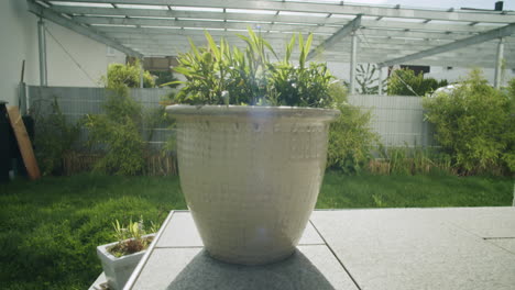 Handheld-shot-of-a-flower-pot-standing-on-the-terrace