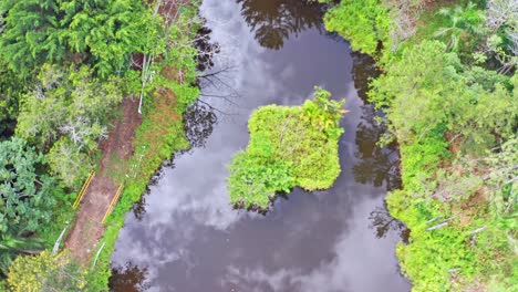 Aerial-top-down-shot-of-natural-pond-with-cloud-reflection-surrounded-by-green-jungle-and-trees-of-Dominican-Republic