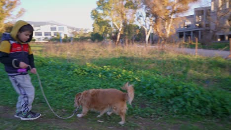 Kaukasischer-Junge,-Versucht,-Seinen-Hund-Auf-Einem-Spaziergang-Mit-Einer-Leine-Auf-Den-Feldern-Zu-Kontrollieren